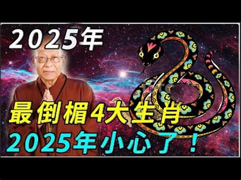 49年屬什麼